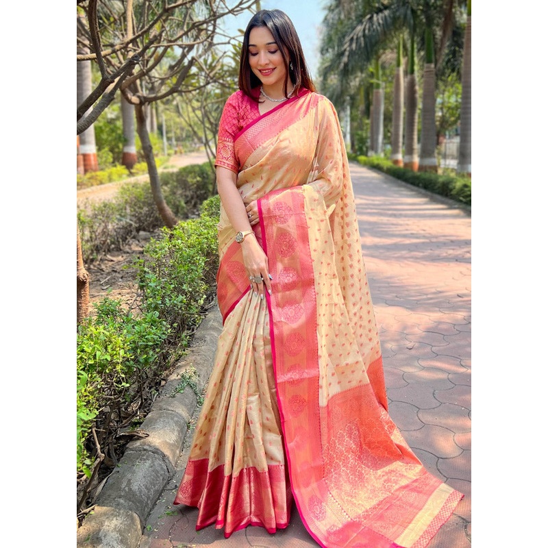 Chiku Dupion Silk Saree With Blouse Piece - JD986583826
